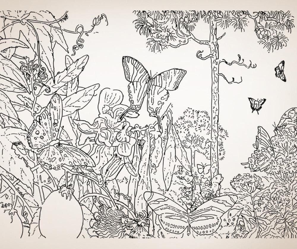 Vinyl Wall Decal Sticker Butterfly Forest #OS_AA1071