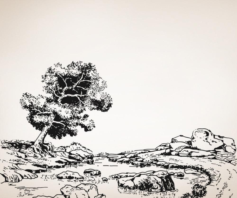 Vinyl Wall Decal Sticker Tranquil Forest #OS_AA1072