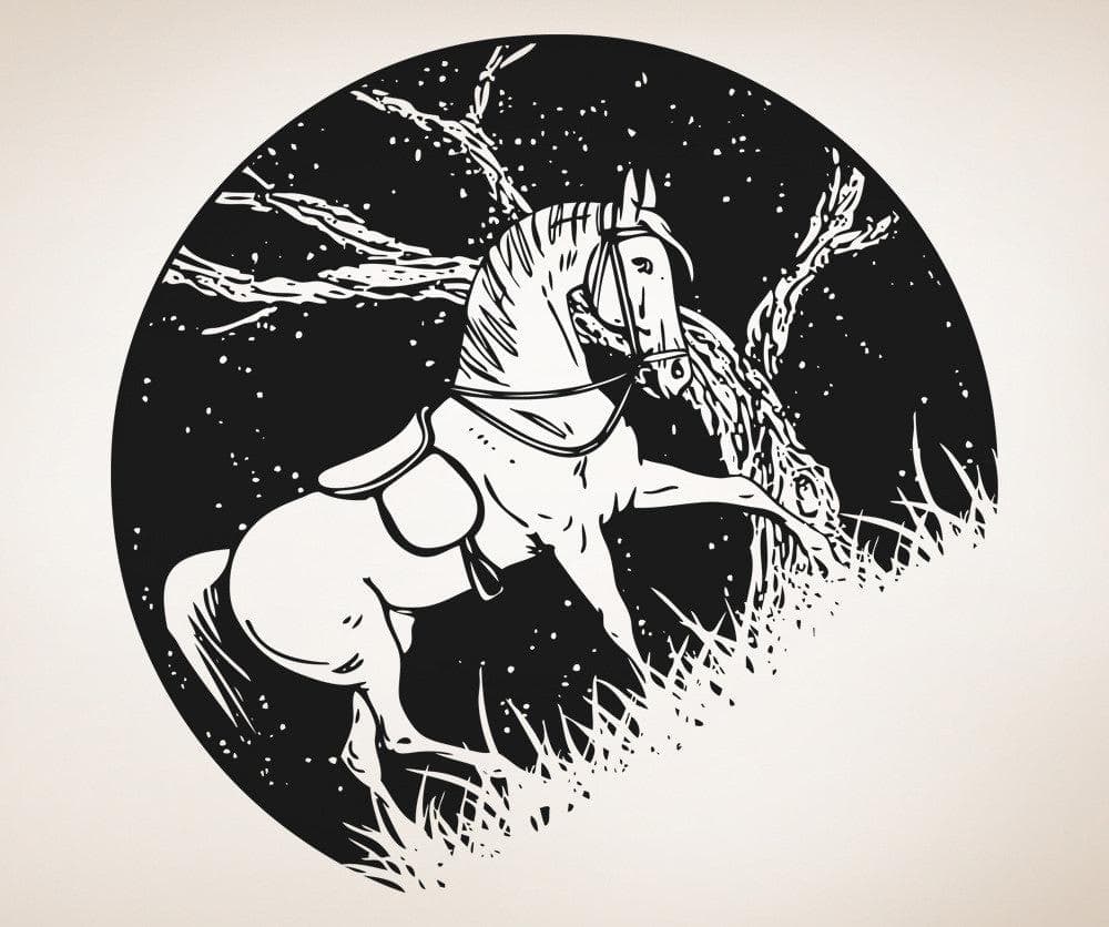 Vinyl Wall Decal Sticker Horse at Night #OS_AA1555