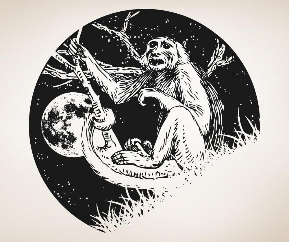 Vinyl Wall Decal Sticker Monkey at Night #OS_AA1561