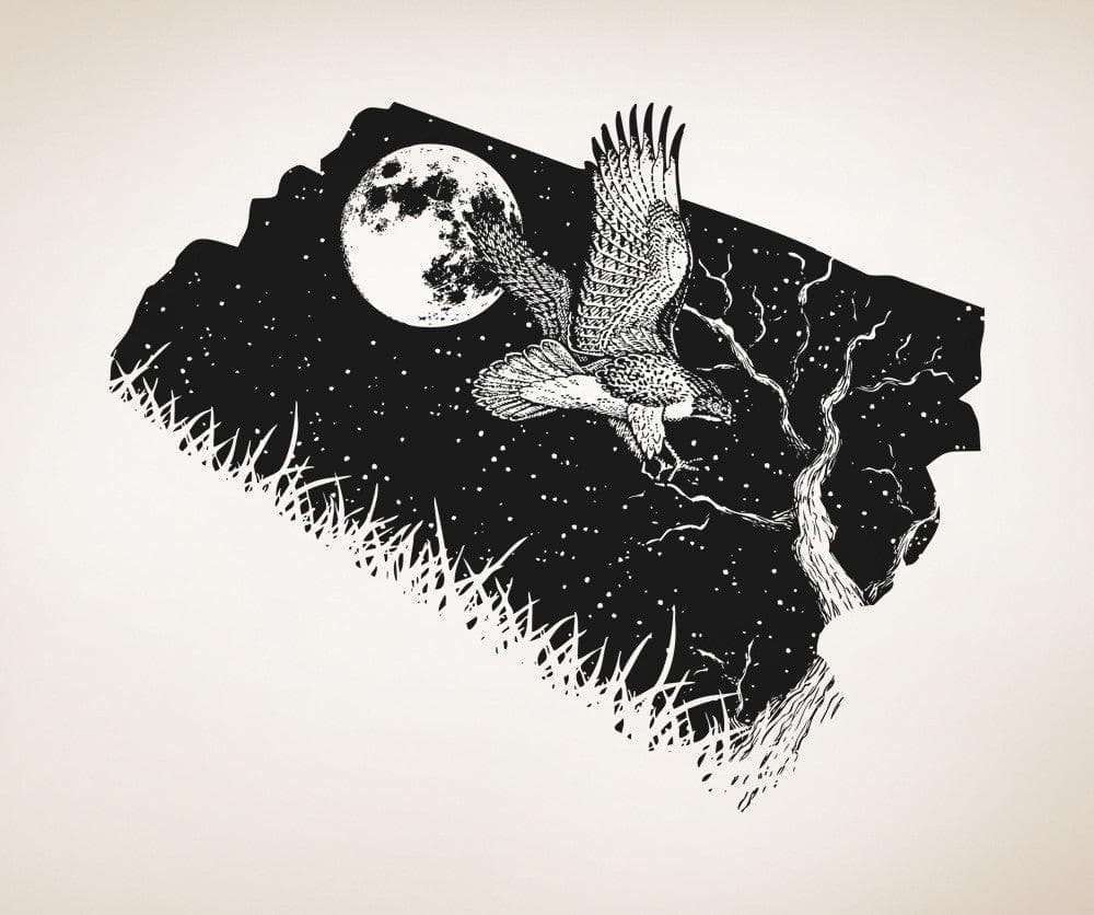 Vinyl Wall Decal Sticker Hawk at Night #OS_AA1574