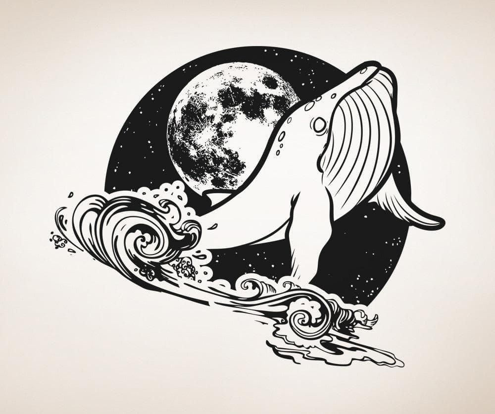 Vinyl Wall Decal Sticker Whale at Night #OS_AA1648