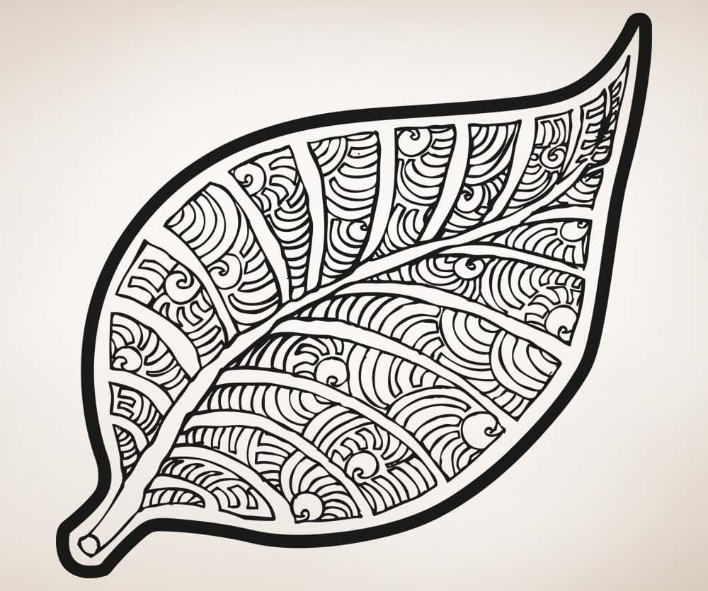 Vinyl Wall Decal Sticker Leaf Art #OS_AA1722