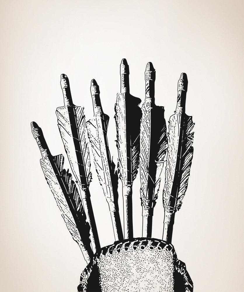 Vinyl Wall Decal Sticker Arrows #OS_AA680