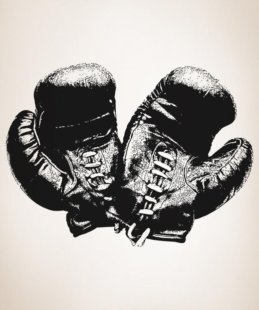 Vinyl Wall Decal Sticker Antique Boxing Gloves #OS_AA682