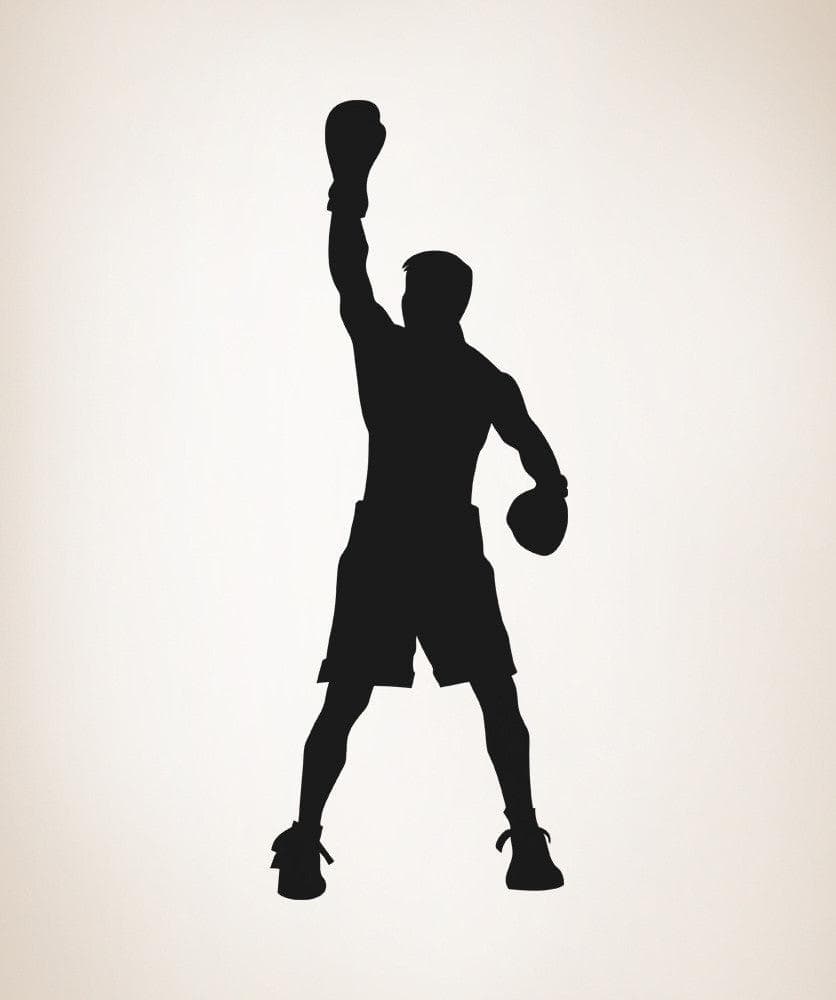 Vinyl Wall Decal Sticker Boxing Champion #OS_AA684