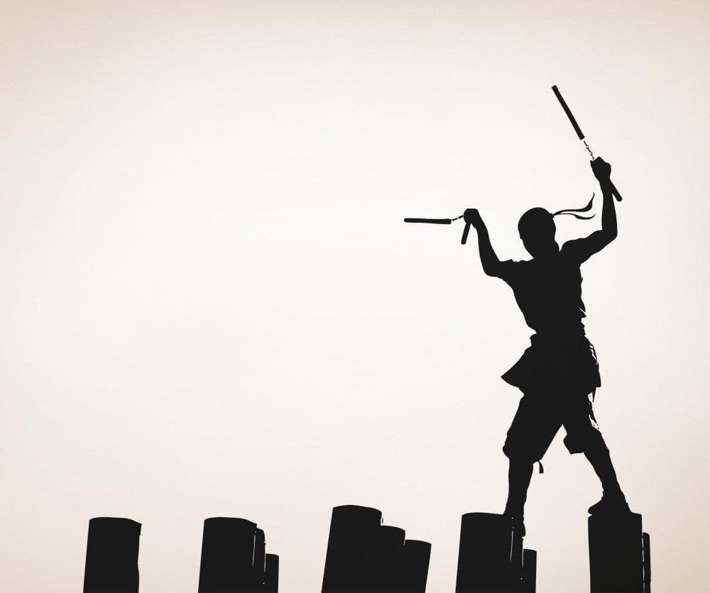 Vinyl Wall Decal Sticker Ninja Nunchucks #OS_AA726