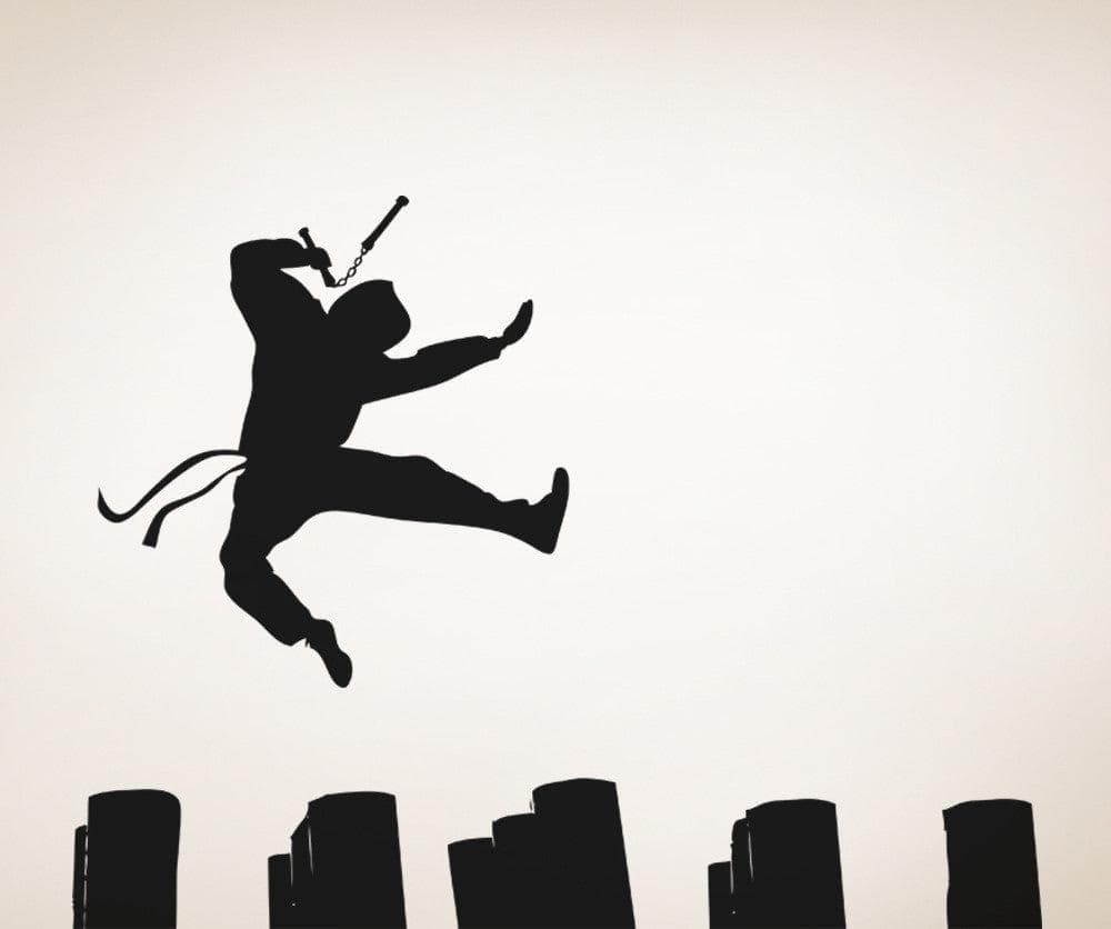 Vinyl Wall Decal Sticker Nunchuck Kick #OS_AA727