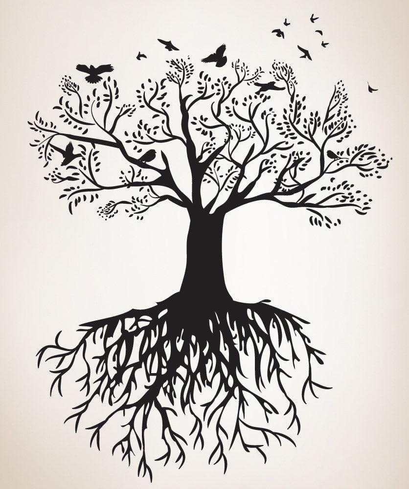Vinyl Wall Decal Sticker Tree with Birds #OS_DC176