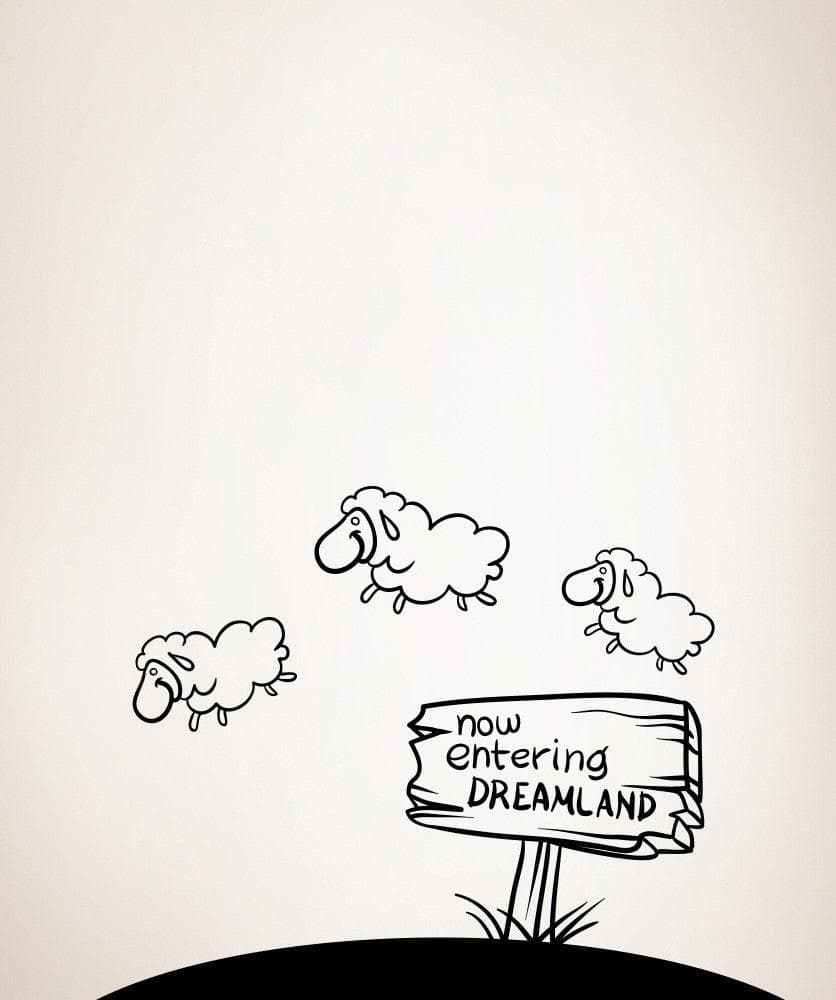 Vinyl Wall Decal Sticker Entering Dreamland #OS_MB1068