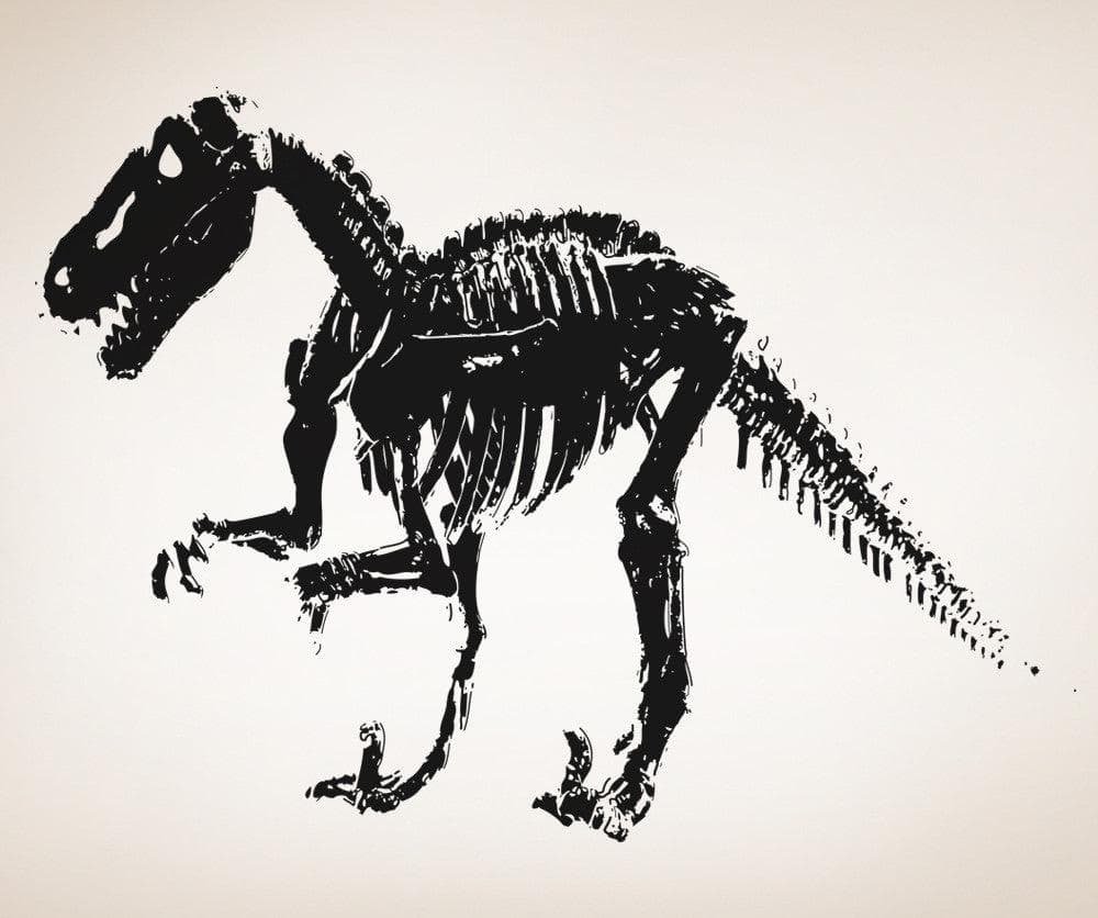 Vinyl Wall Decal Sticker T-Rex Fossil #OS_AA219