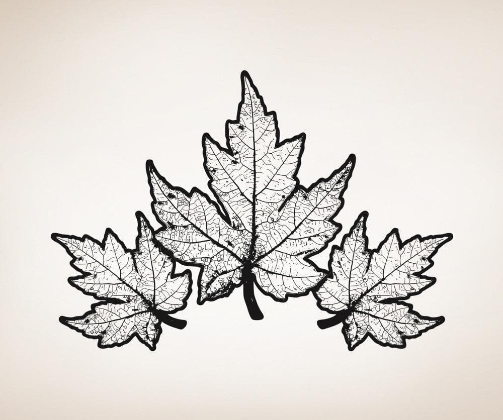 Vinyl Wall Decal Sticker Autumn Leaves #OS_AA320