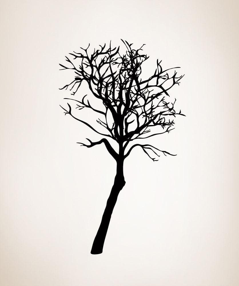 Vinyl Wall Decal Sticker Bare Tree #AC191
