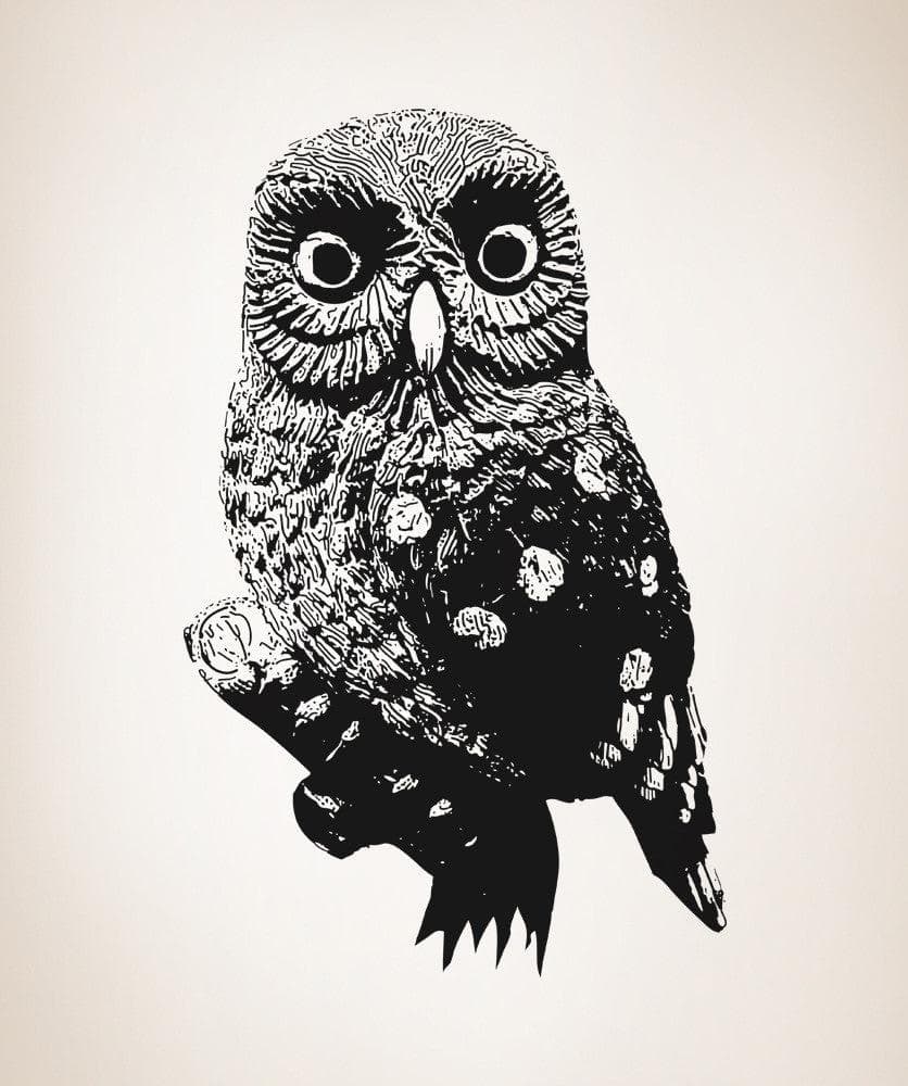 Vinyl Wall Decal Sticker Australian Scooty Owl #OS_AA497