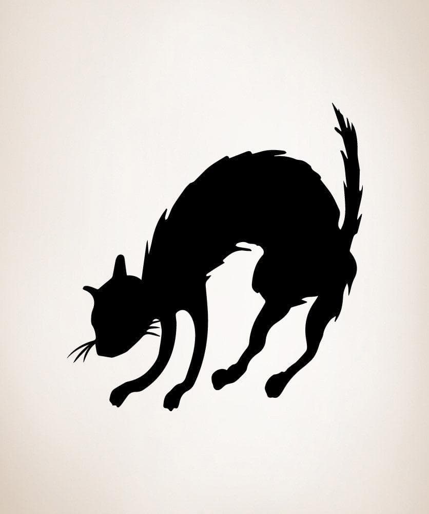 Vinyl Wall Decal Sticker Scared Cat #OS_MB485