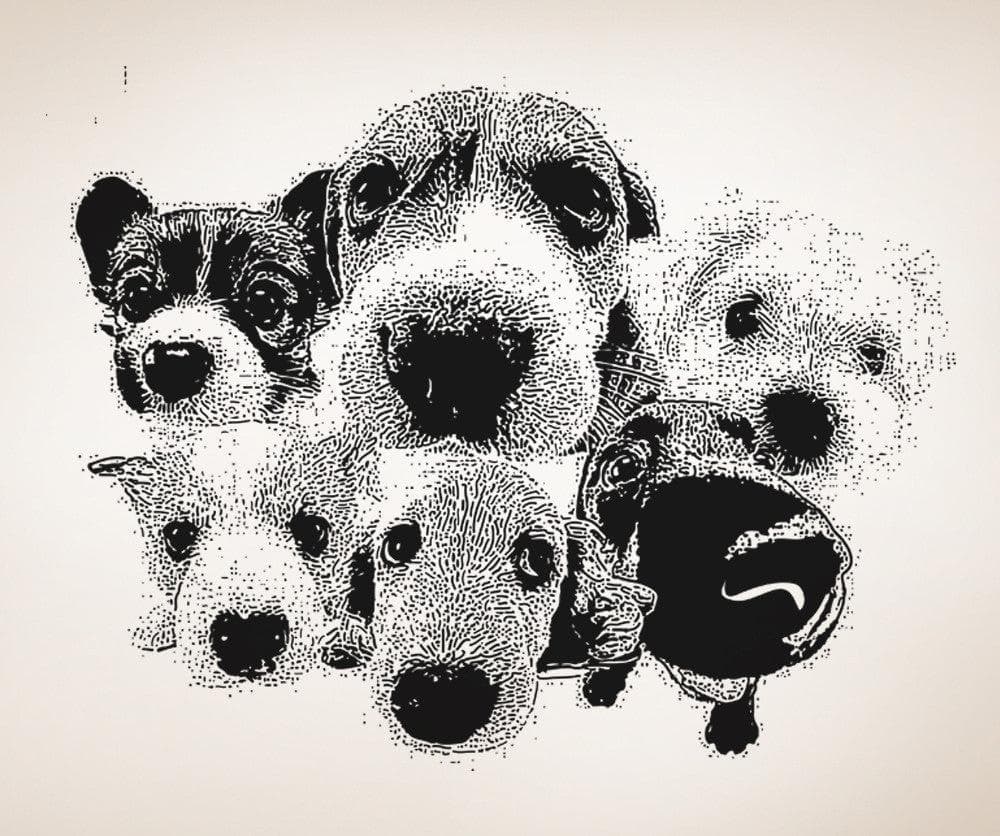 Vinyl Wall Decal Sticker Dogs #OS_AA571