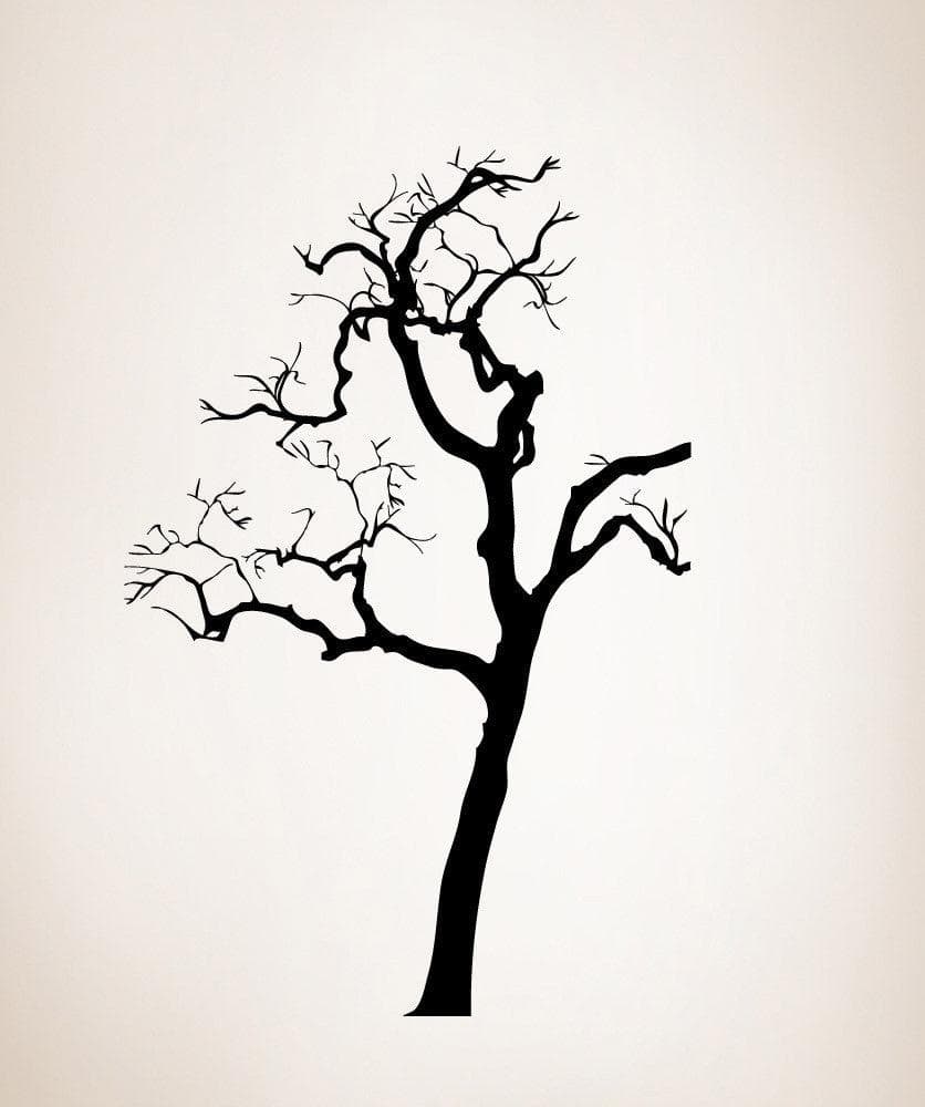 Vinyl Wall Decal Sticker Cool Tree #AC200