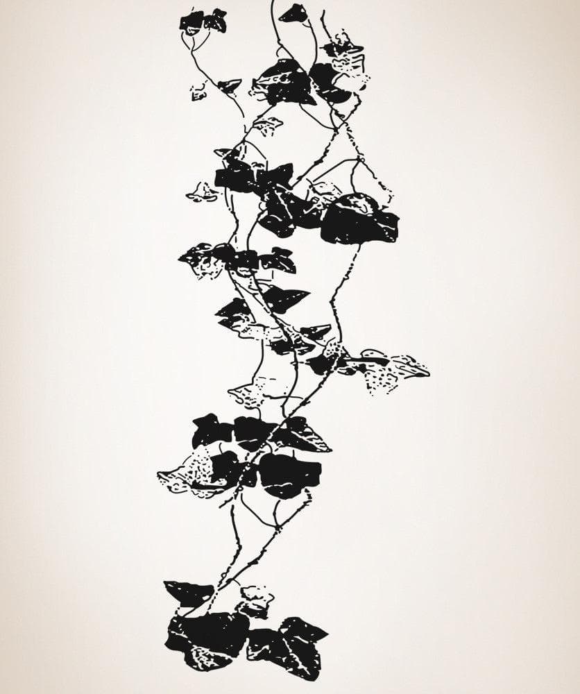 Vinyl Wall Decal Sticker Hanging Vines #OS_AA288