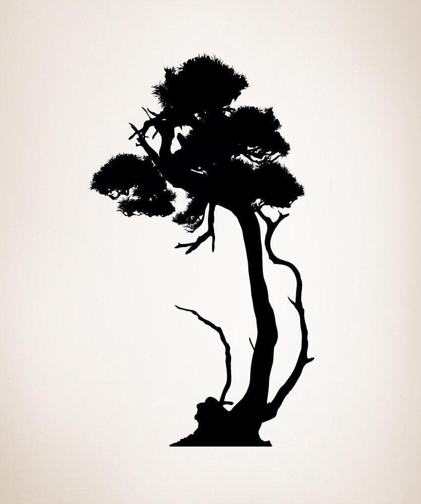 Vinyl Wall Decal Sticker Funky Bonsai #AC215