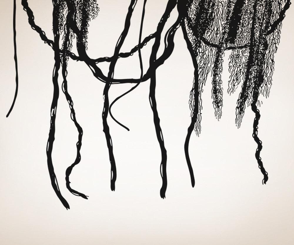 Vinyl Wall Decal Sticker Jungles Vines #OS_AA294