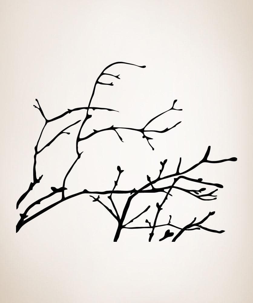 Vinyl Wall Decal Sticker Spring Branches #AC222
