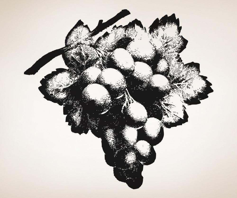 Grapes Vinyl Wall Decal Sticker. #OS_AA277
