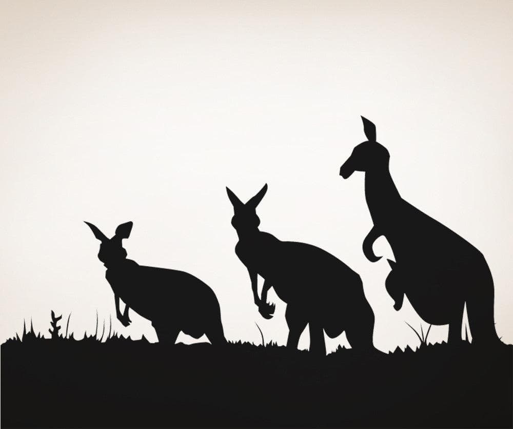 Vinyl Wall Decal Sticker Kangaroos #OS_AA476