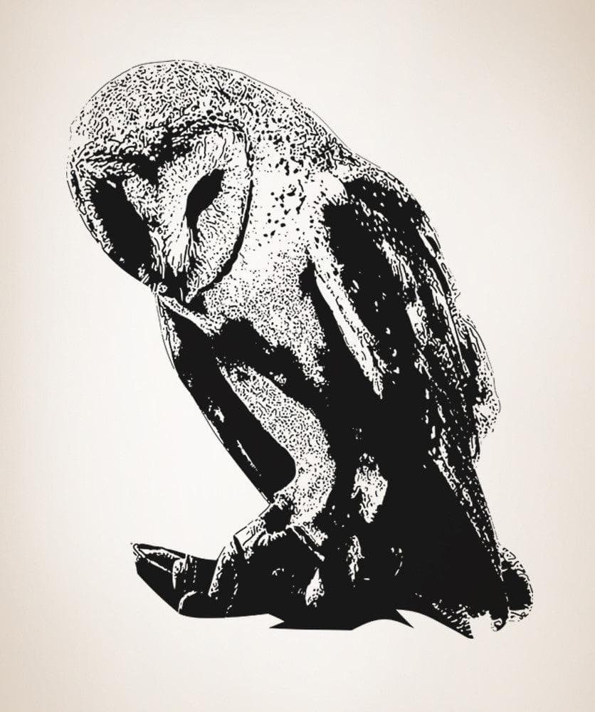 Vinyl Wall Decal Sticker Australian Barn Owl #OS_AA498