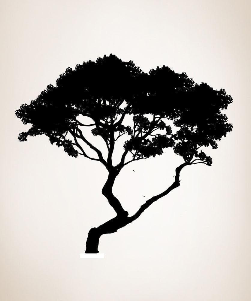Vinyl Wall Decal Sticker Bending Tree #AC192