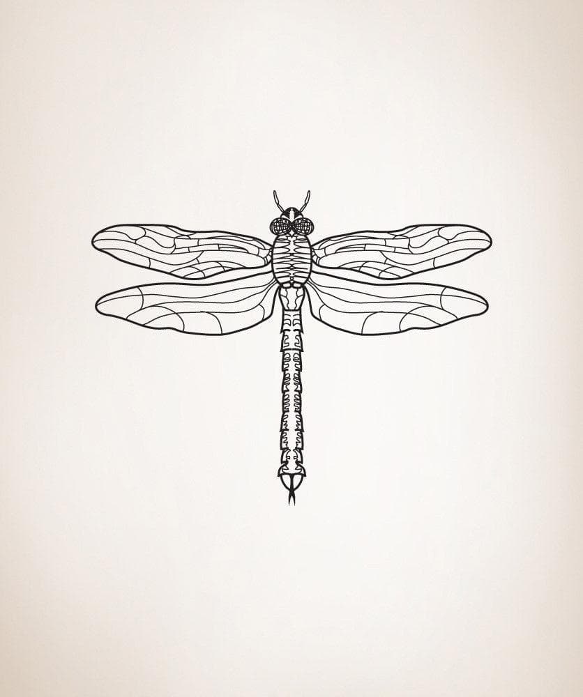 Vinyl Wall Decal Sticker Dragonfly #OS_DC207