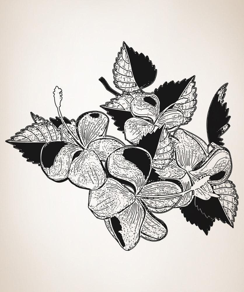 Vinyl Wall Decal Sticker Tropical Flowers #OS_AA261