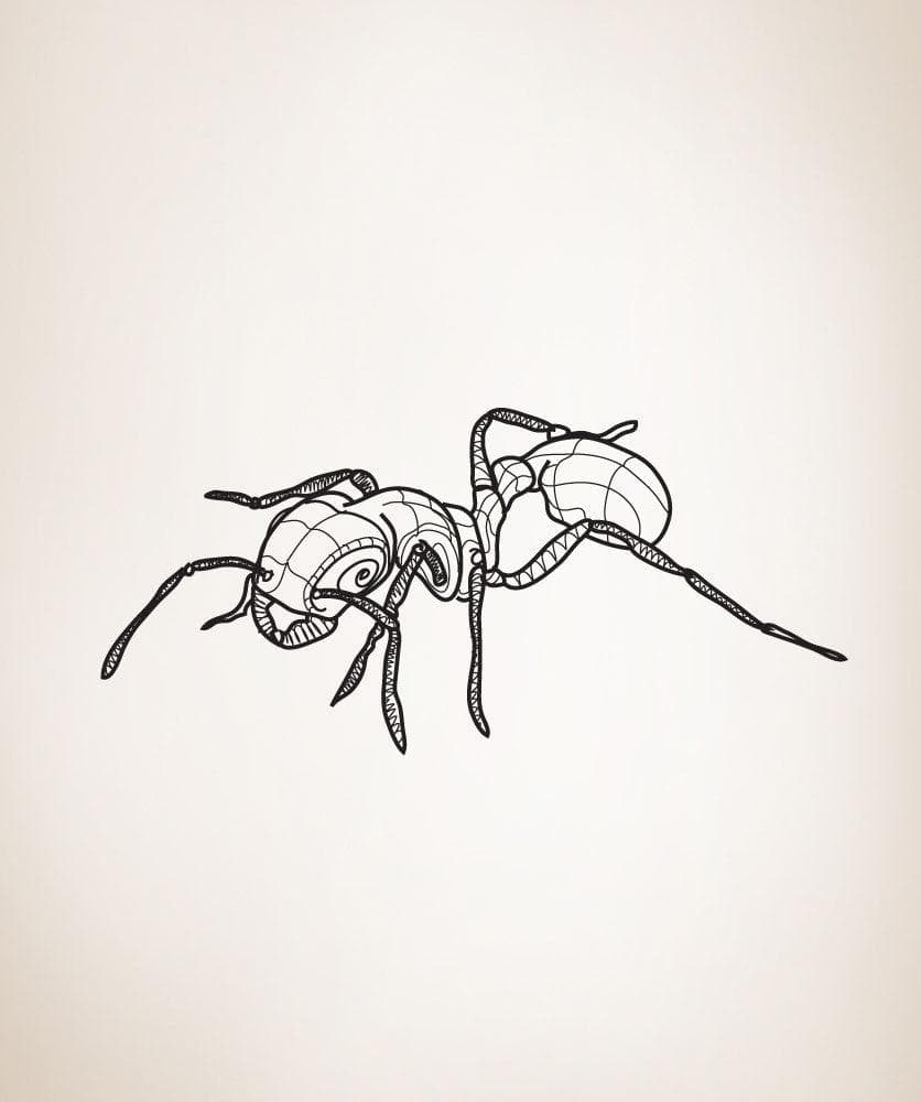 Vinyl Wall Decal Sticker Ant #OS_DC209