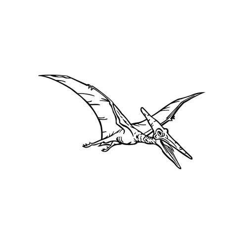 Dinosaur Pterodactyl Bird Vinyl Wall Decal Sticker. #KRiley113 ...