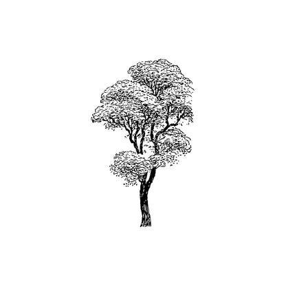 Tall Tree Vinyl Wall Decal Sticker. #241