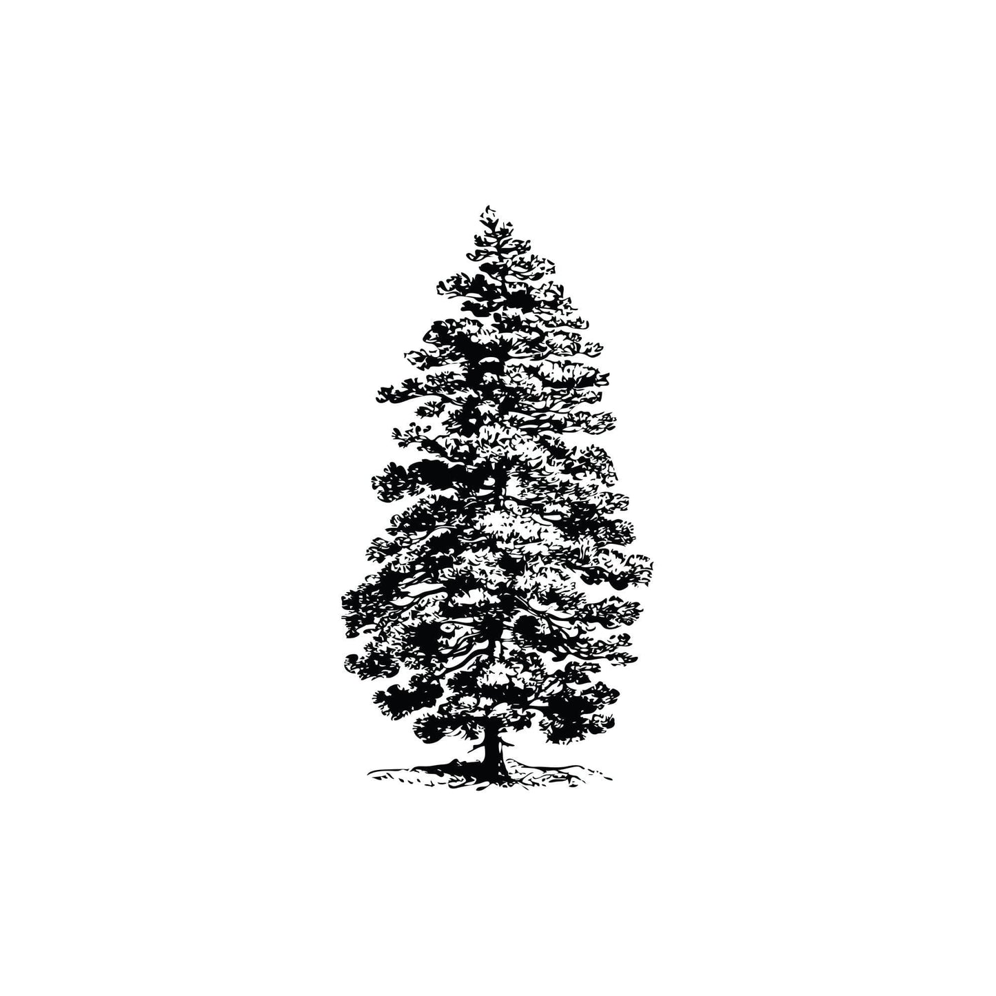 Pine Tree Wall Decal Sticker. #658