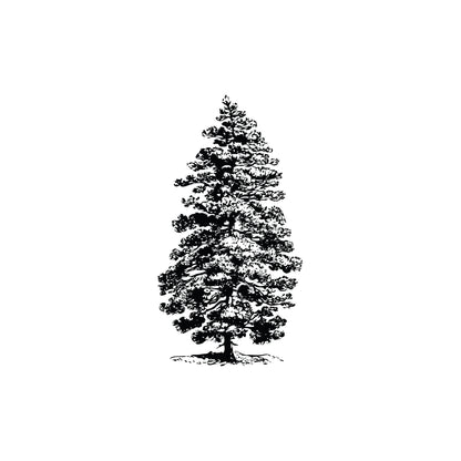 Pine Tree Wall Decal Sticker. #658