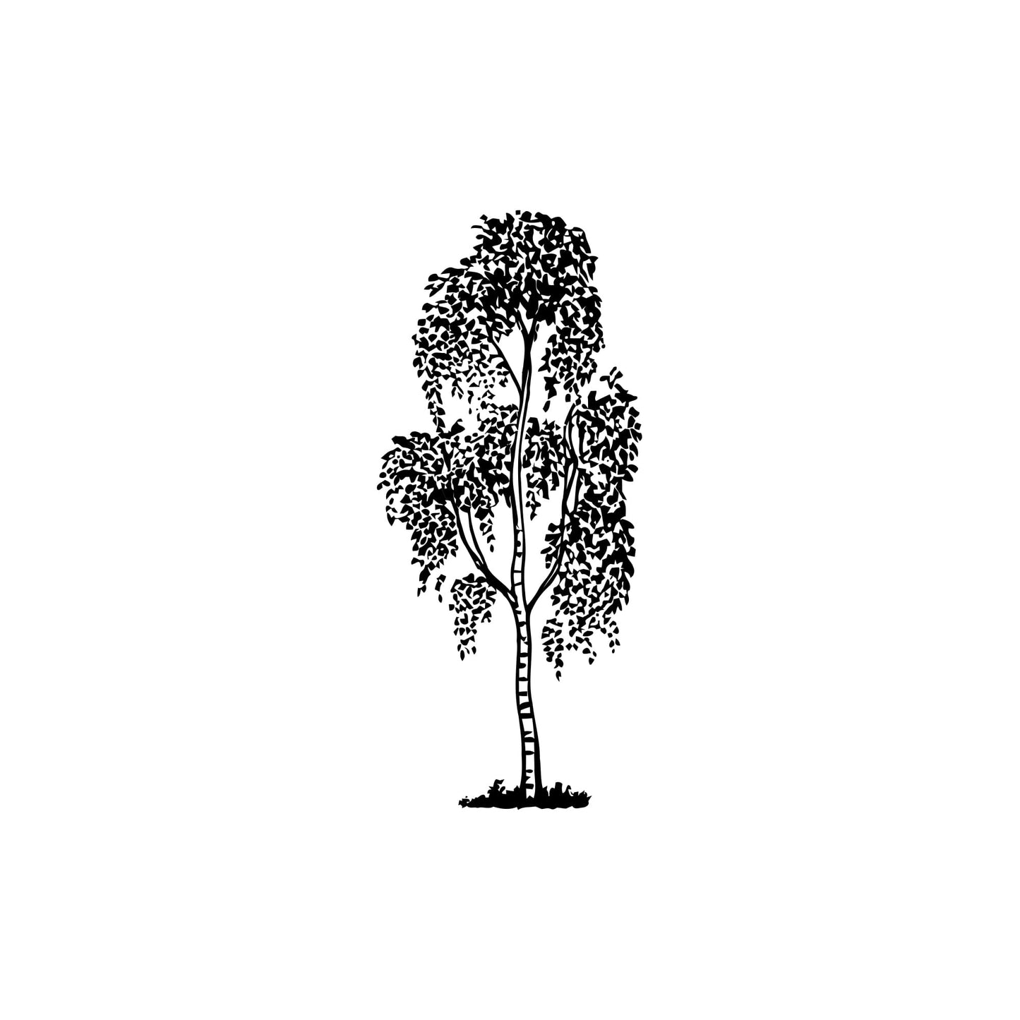Tall Tree Wall Decal. #7092