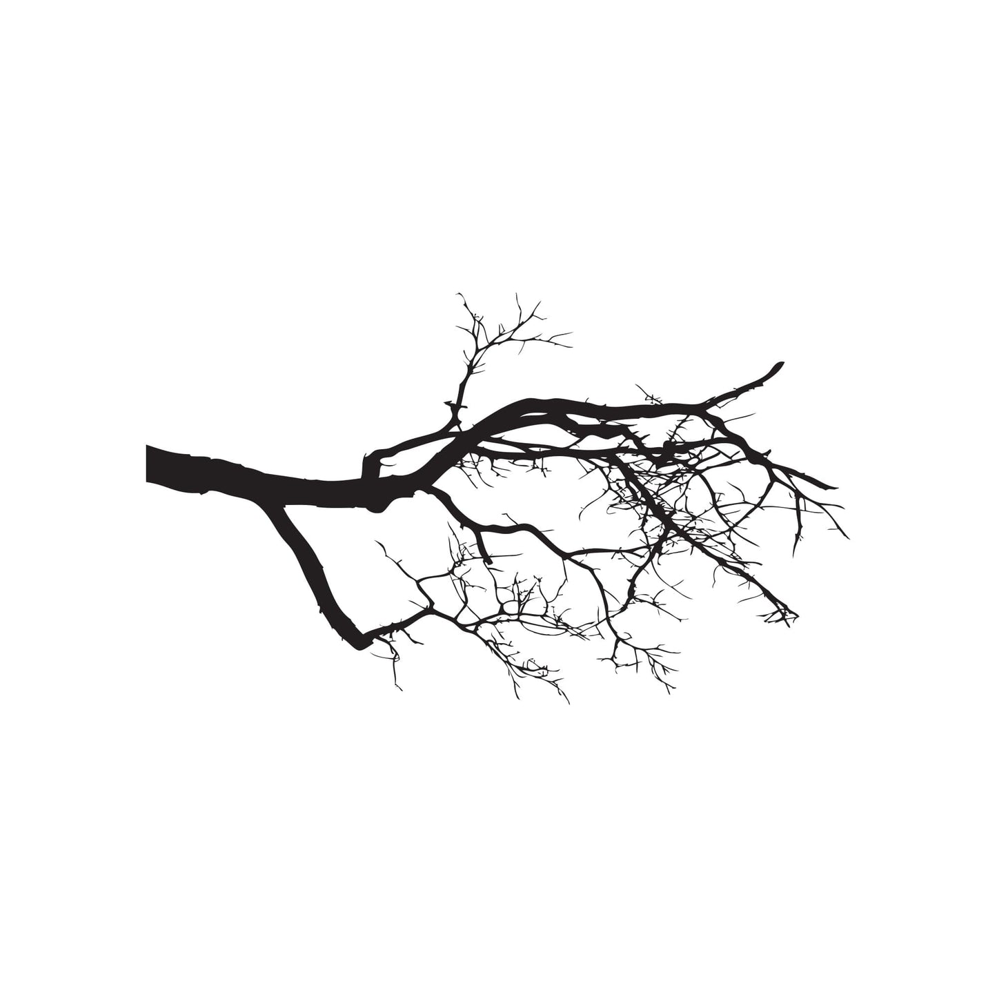 Tree Top Branches Wall Decal Sticker. #780