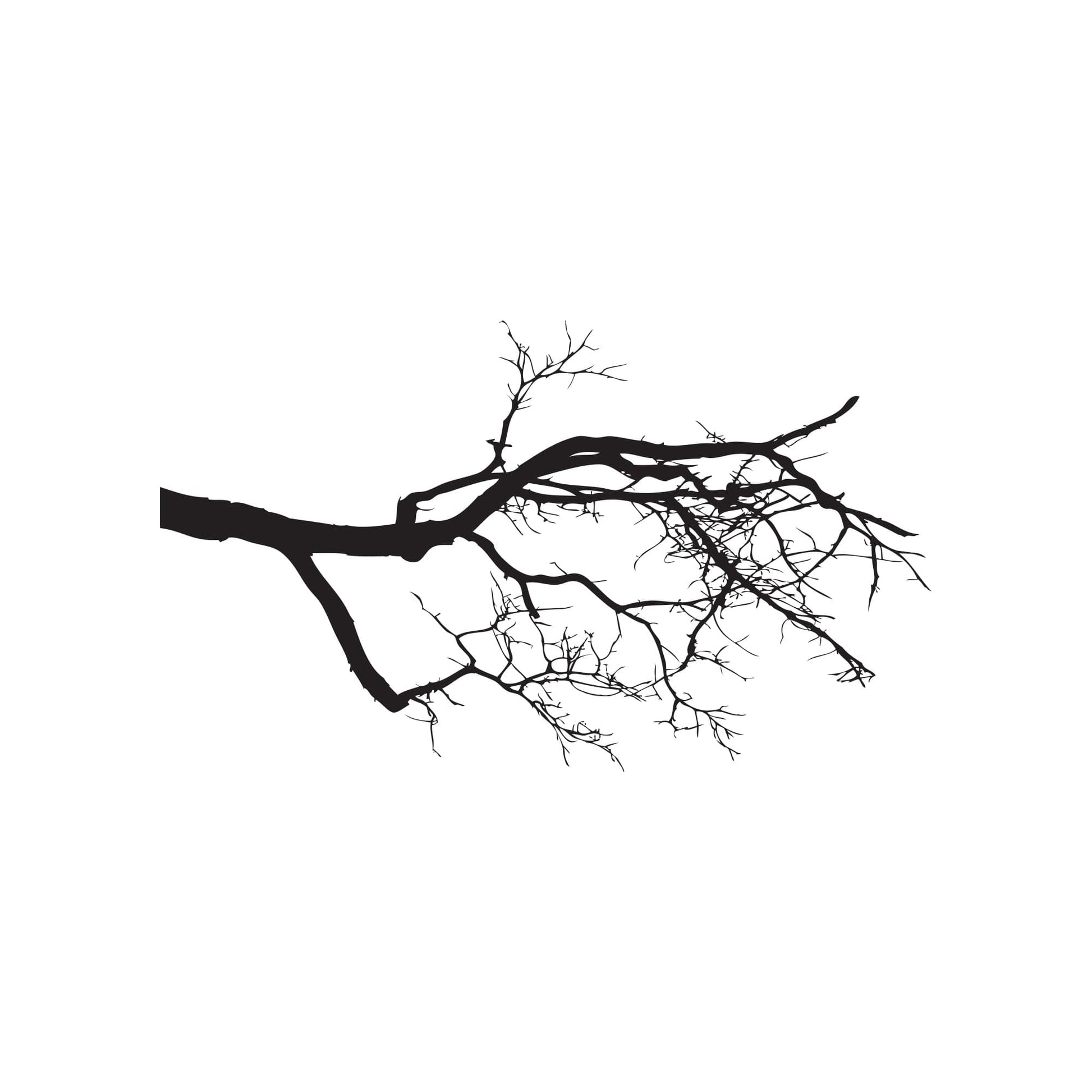 A black decal of tree branches on a white background.