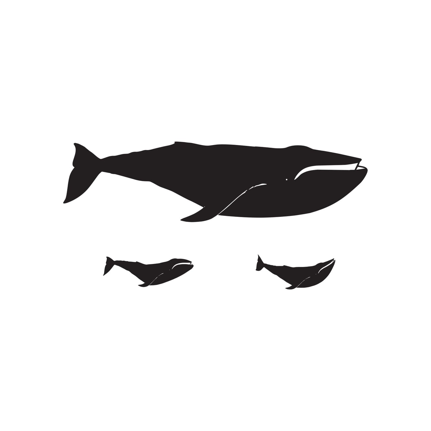 Vinyl Wall Decal Sticker Whale Baby Family #196