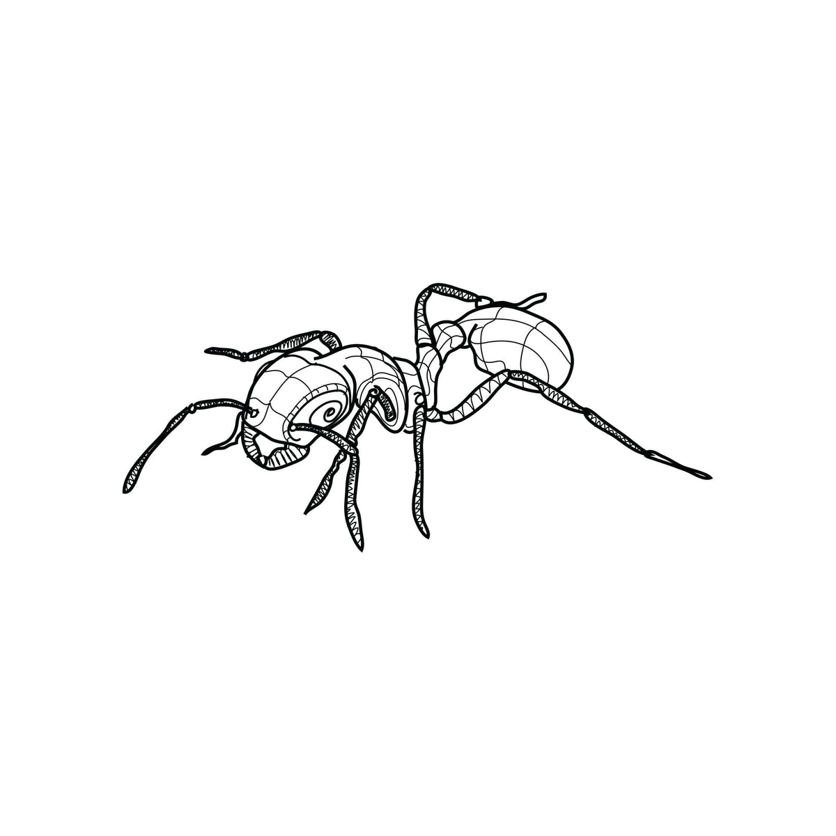 Ant Vinyl Wall Decal Sticker. #OS_DC209