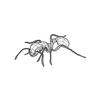 Ant Vinyl Wall Decal Sticker. #OS_DC209