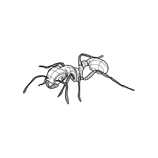 Ant Vinyl Wall Decal Sticker. #OS_DC209
