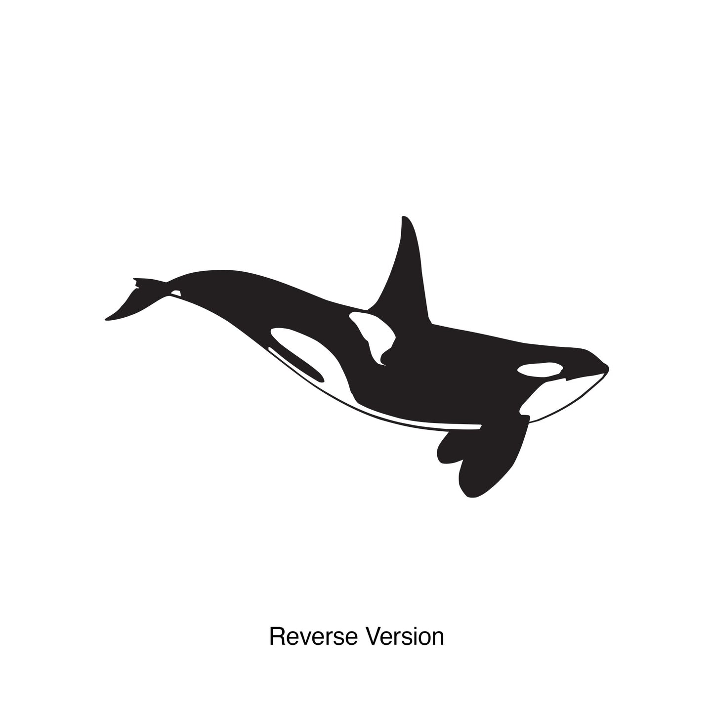 Vinyl Wall Decal Sticker Killer Whale Orca #648
