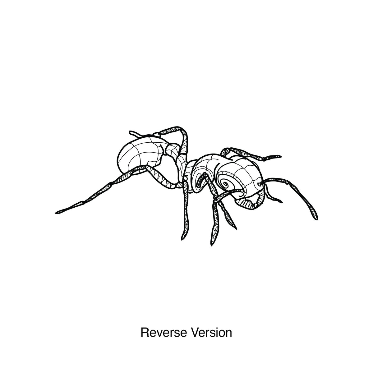 Ant Vinyl Wall Decal Sticker. #OS_DC209