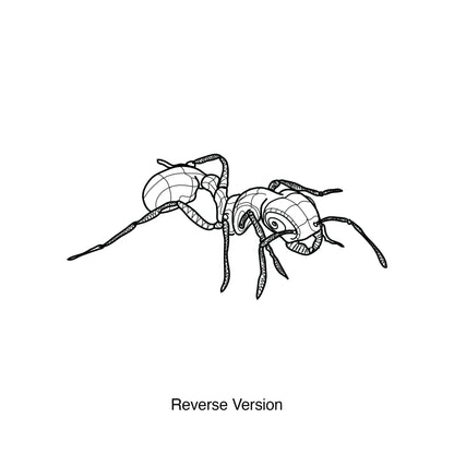 Ant Vinyl Wall Decal Sticker. #OS_DC209