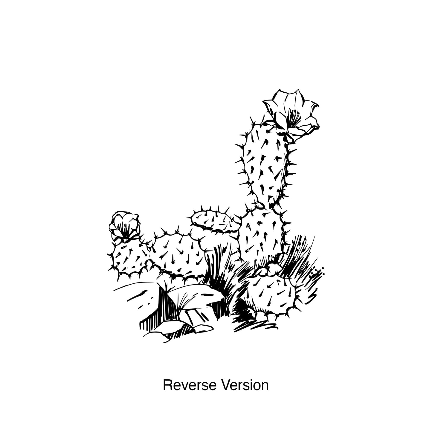 Arizona Desert Cactus Wall Decal. #236