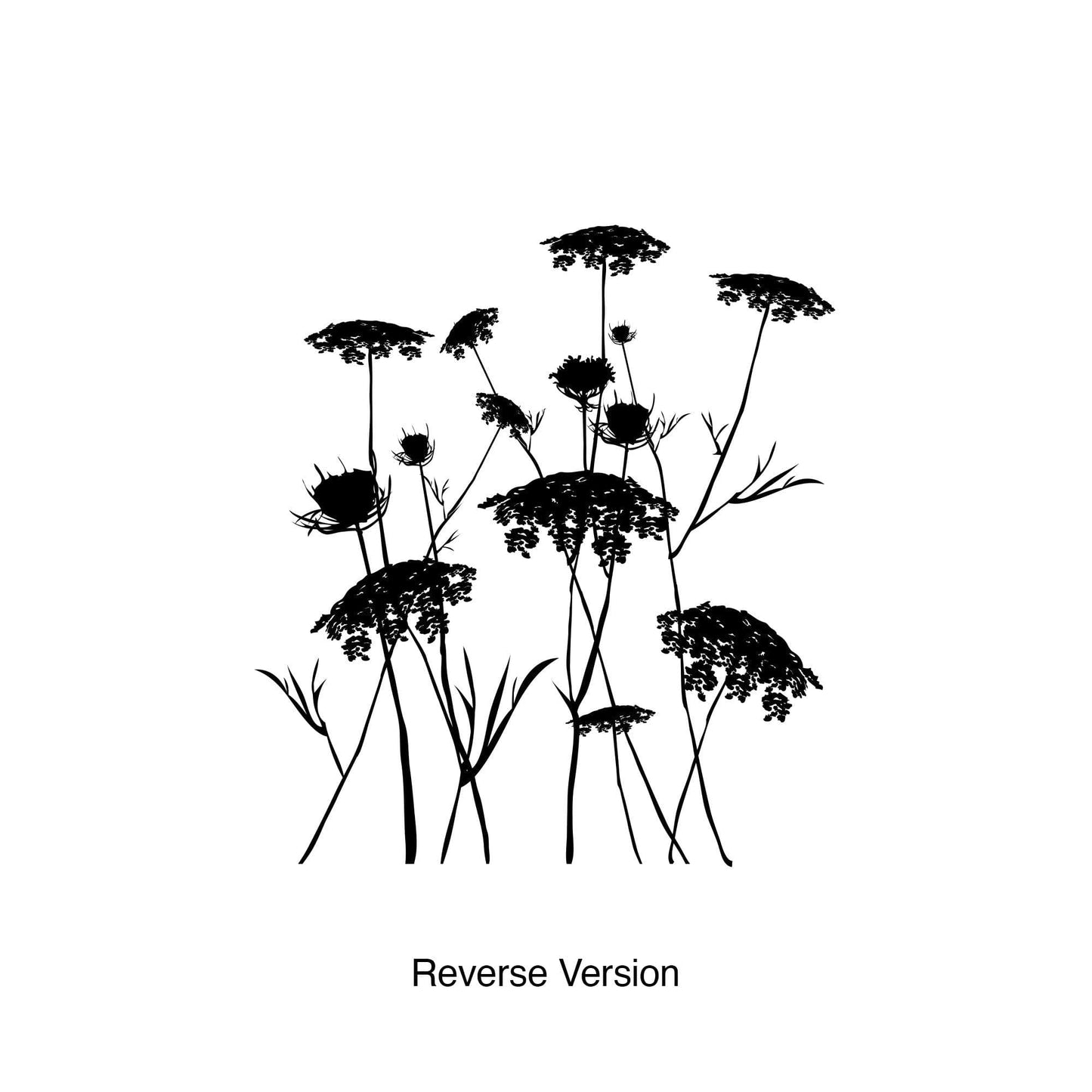 Queen Anne's Lace Flower Wall Decal. #AC218