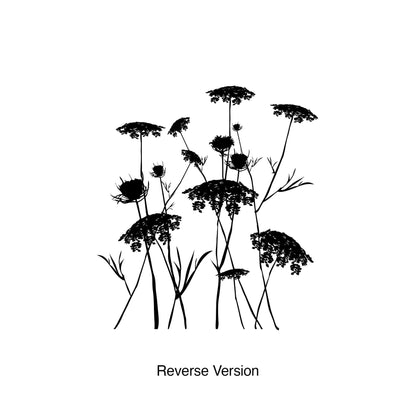 Queen Anne's Lace Flower Wall Decal. #AC218