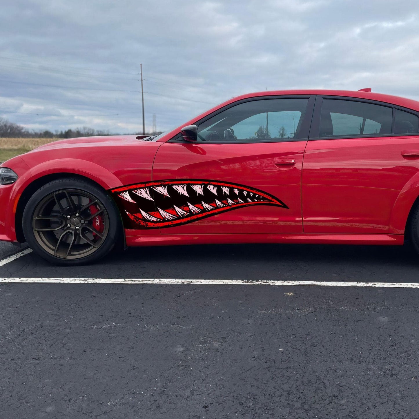 Flying Tiger Shark Military Bomber Design Decal. Jaws Decal. #6992